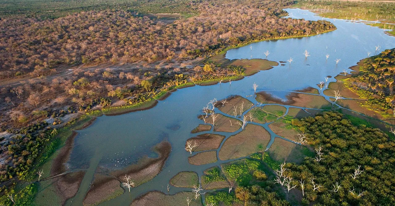 Aerial view of a river winding through the bush, with drowned trees on the floodplain