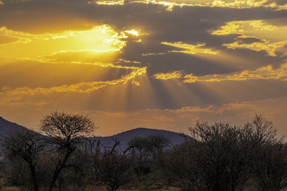 Sunset over Madikwe Game Reserve with sunbeams breaking through orange clouds above silhouetted bushveld trees and hills.
